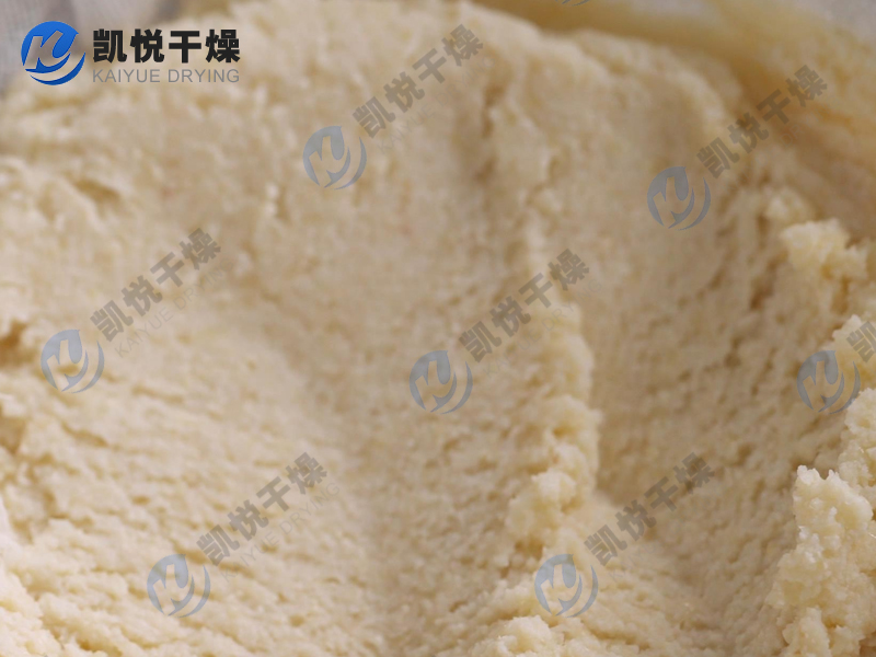 豆渣闪蒸干燥机(安徽XX豆制品)