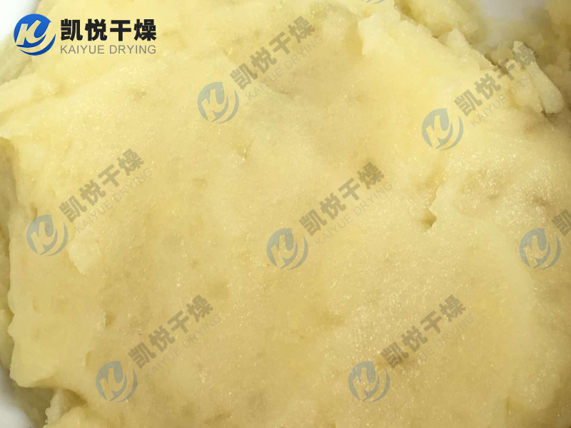 土豆蛋白、豌豆蛋白闪蒸干燥机(宁夏固原XX淀粉)