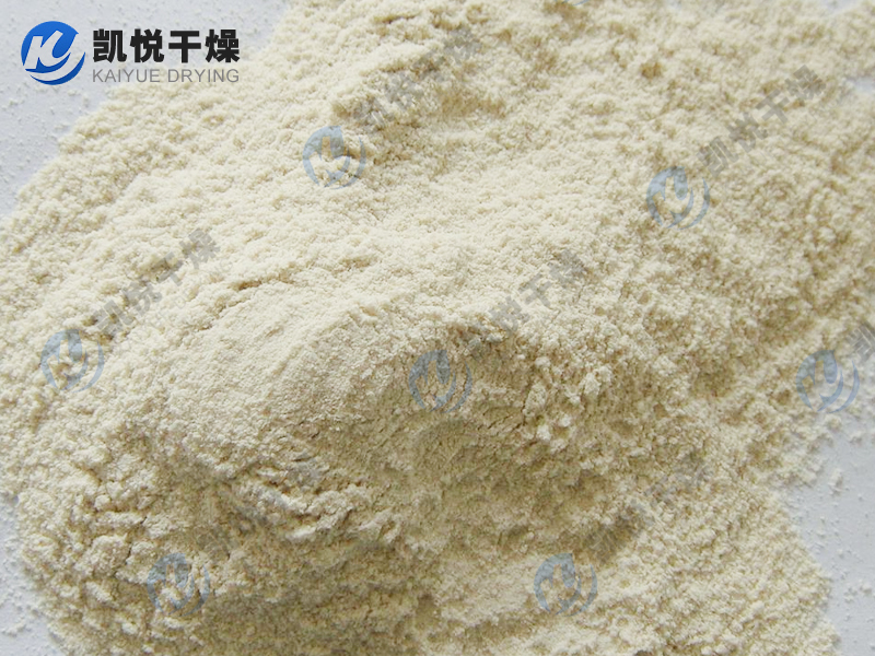 泛酸钙真空耙式干燥机(安徽XX生物)