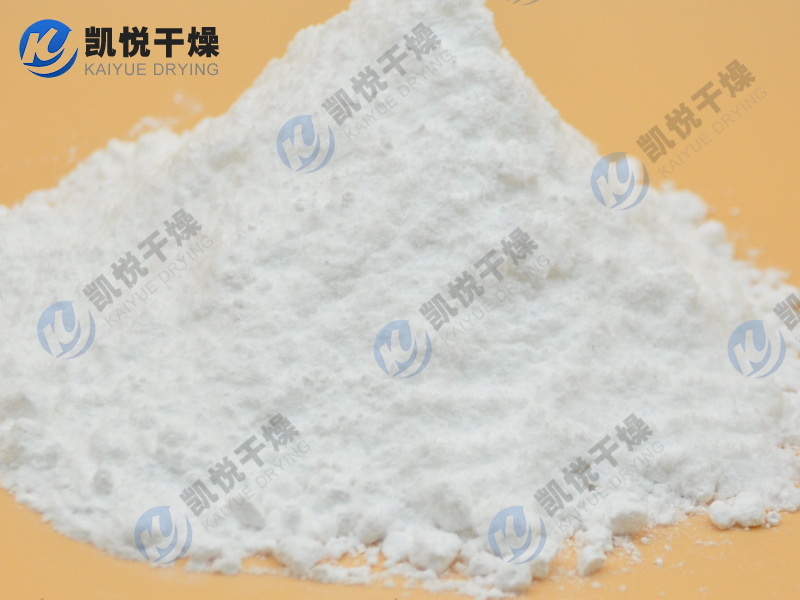 乳酸钙单锥真空干燥机